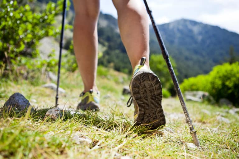 Randonnée en forêt : une idée de week-end à l’Ile de France