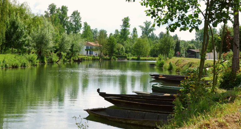 Promenade en barque sur le Marais Poitevin