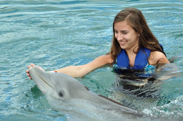 Rencontrer des dauphins dans la réserve naturelle de Key West