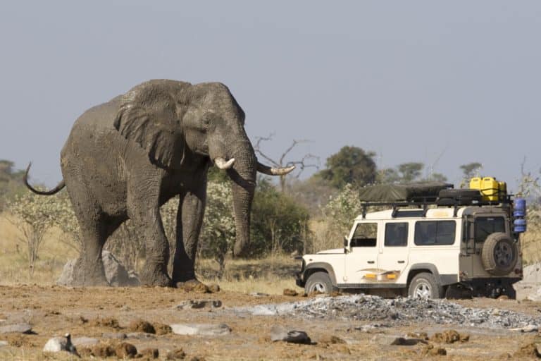 Faire du safari au Sri Lanka
