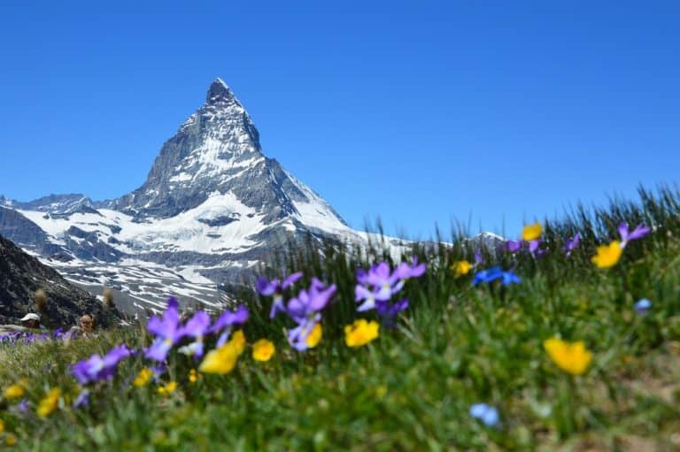 Les choses à savoir avant de partir en randonnée dans les Alpes