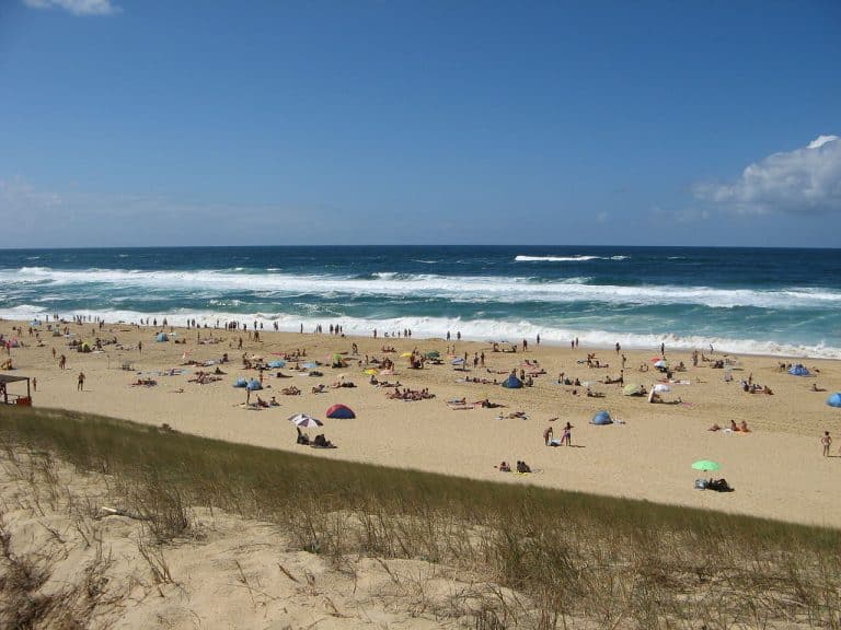 Messanges : La destination idéale pour votre prochain séjour de villégiature dans Les Landes !