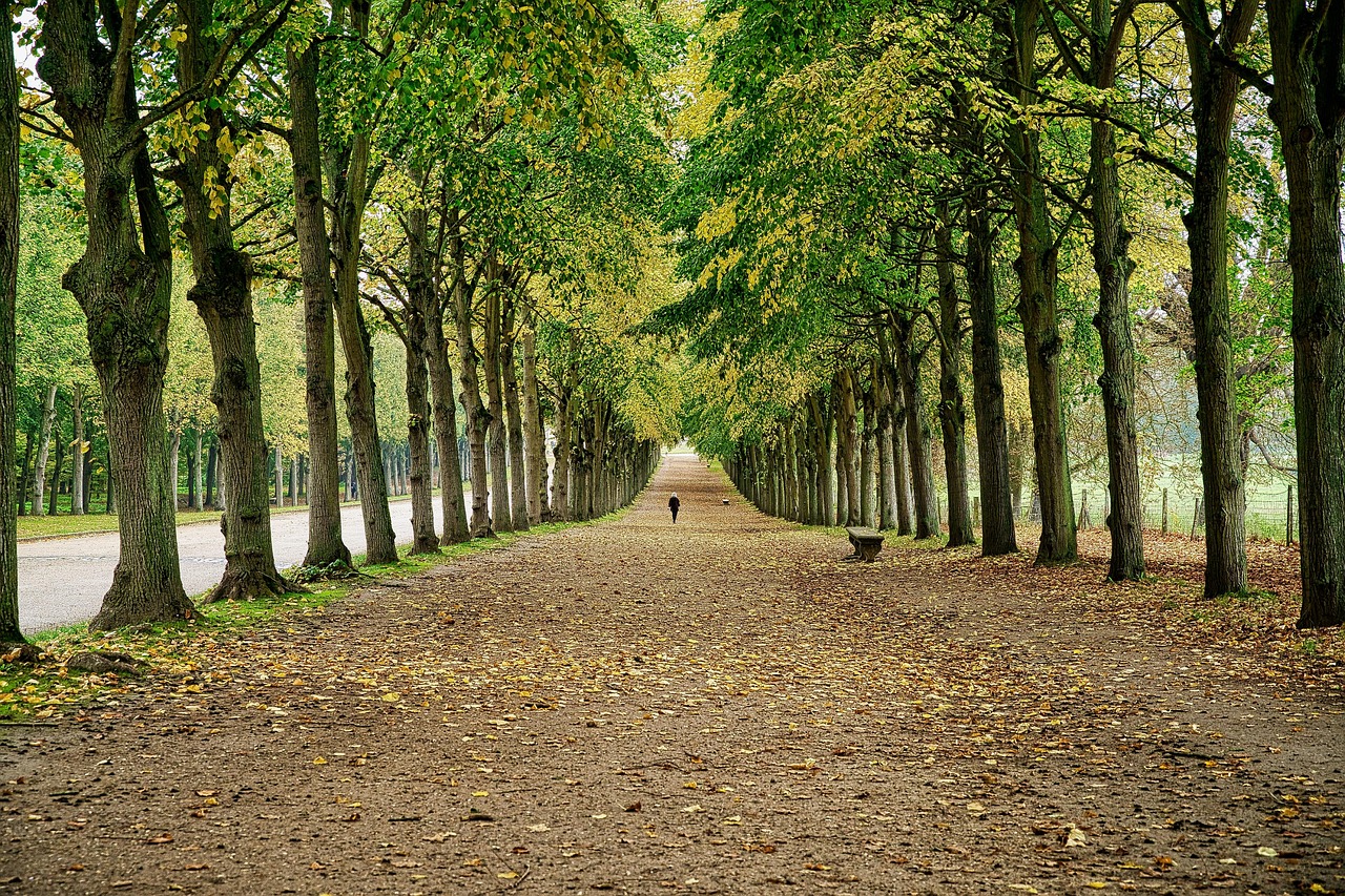 Que voir et faire lors d&rsquo;une balade automnale dans les jardins de Versailles ?