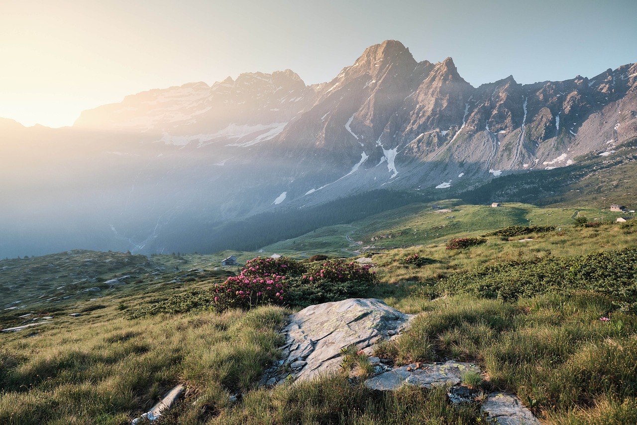 Envie de découvrir les vallées verdoyantes des Alpes ?
