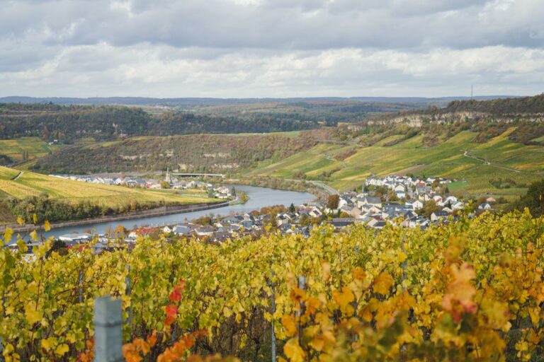 Envie de découvrir la Route des Vins d&rsquo;Alsace en automne ?