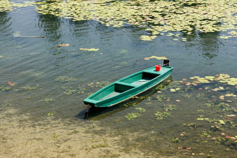 Comment naviguer sur les canaux du Marais Poitevin en barque ?