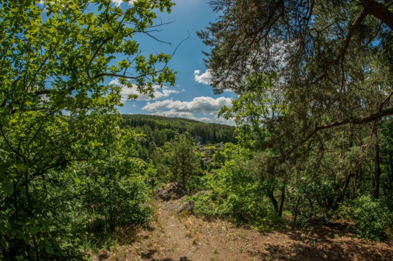 Envie de vous évader dans les vallées verdoyantes des Vosges ?