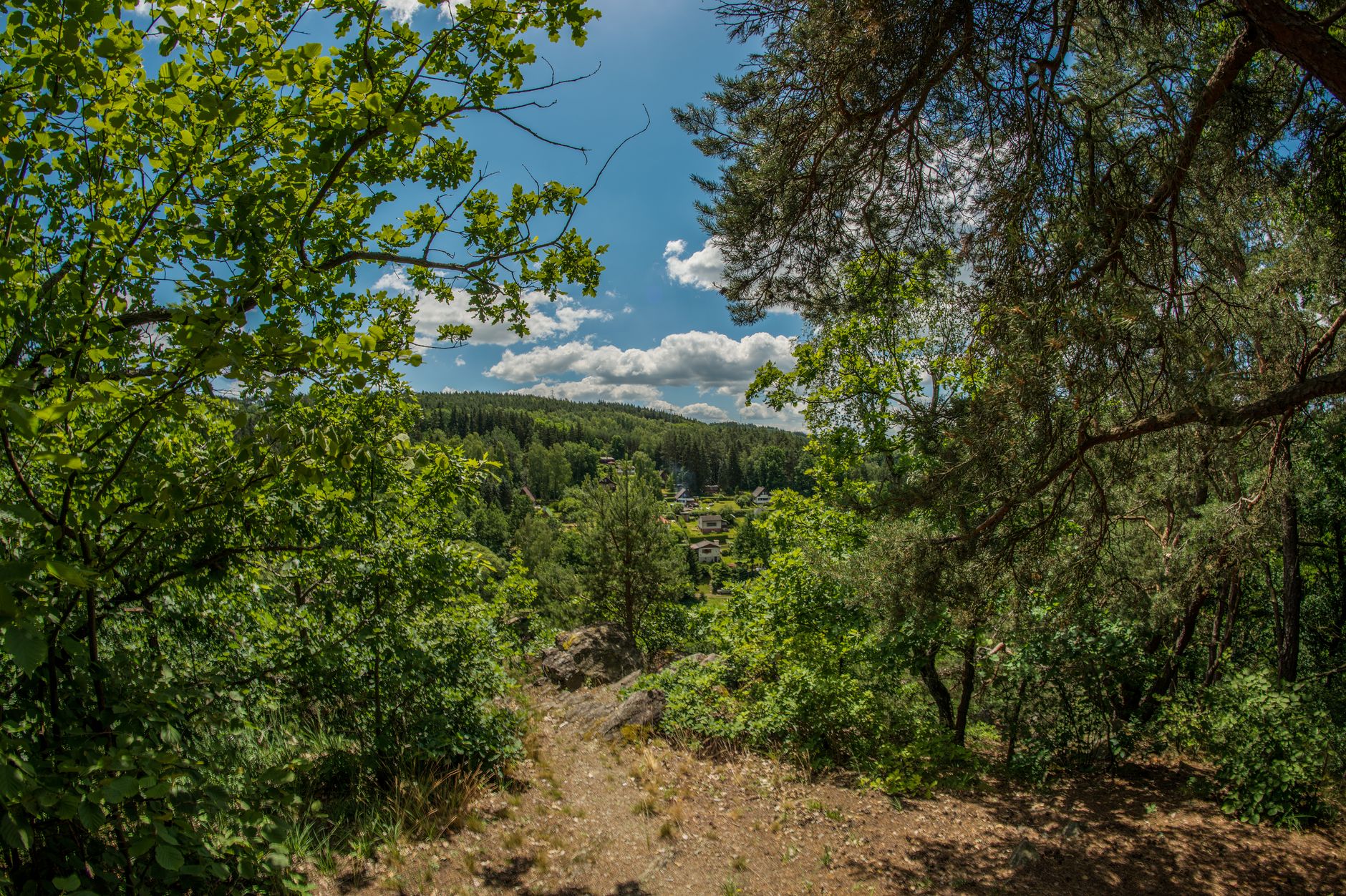 Envie de vous évader dans les vallées verdoyantes des Vosges ?