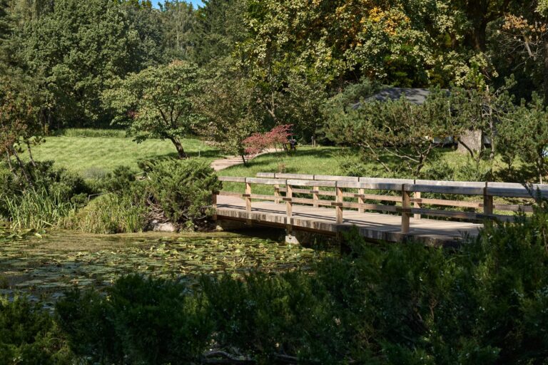 Comment visiter les jardins de Monet à Giverny au printemps ?