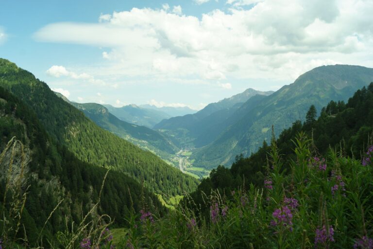 Partez-vous vous évader dans les vallées verdoyantes de la Drôme ?