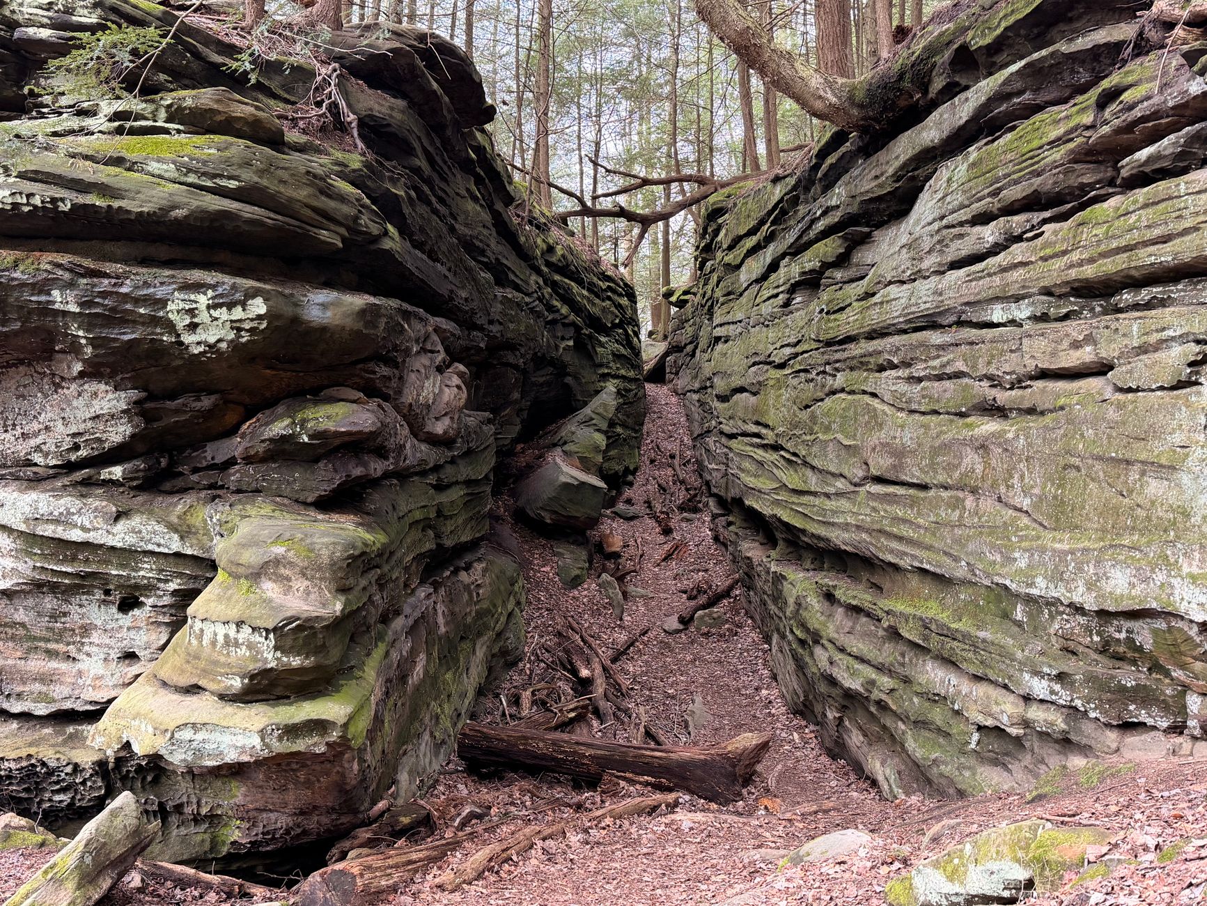 Pourquoi s&rsquo;aventurer dans les forêts de la Forêt Noire ?